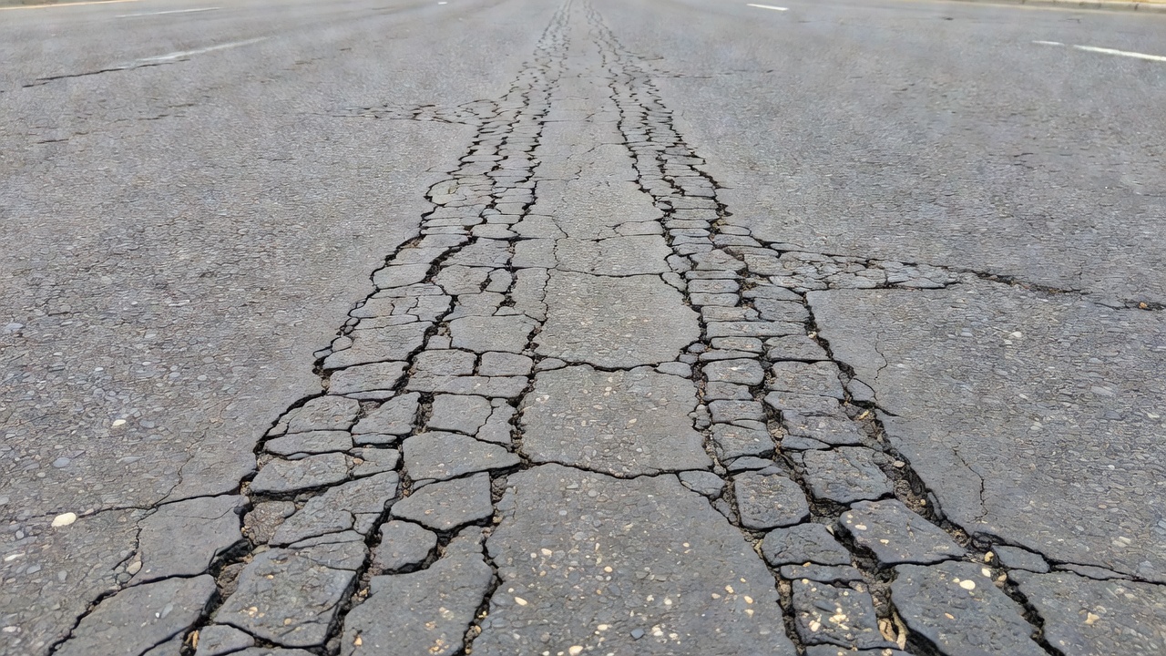 Moderate severity alligator cracking in asphalt wheel path showing early stages of interconnected fine cracks on a road surface