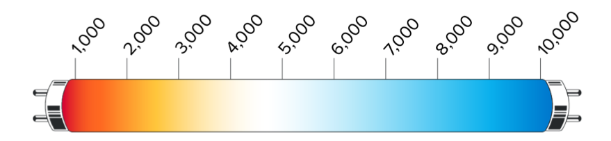 CCT Color Temperature Range
