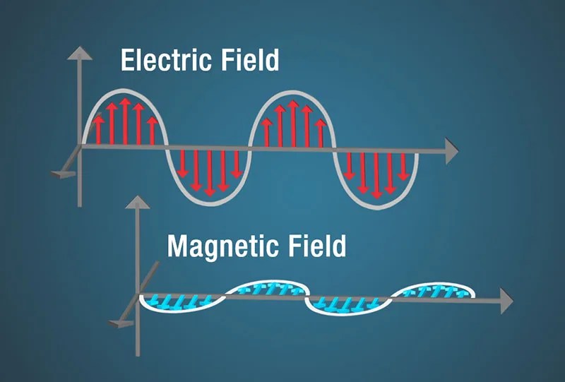 Electric and Magnetic Fields in EM Wave