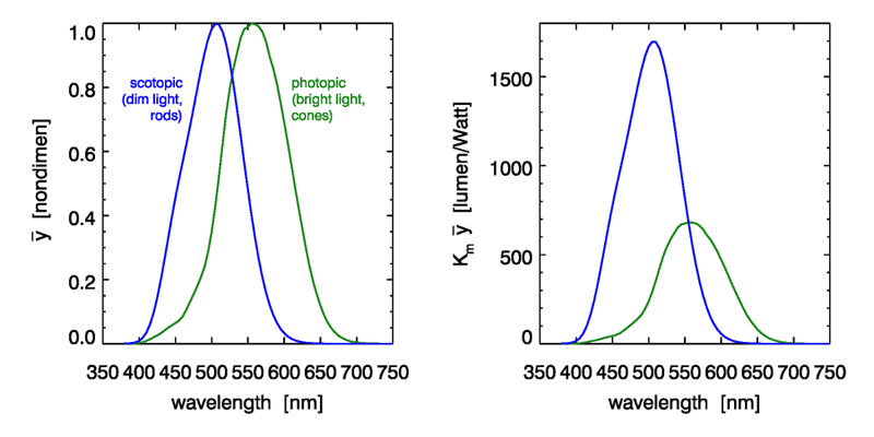 Photopic and Scotopic Luminosity Functions